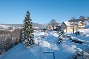 thumbnail: Snow and ski sports