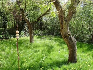 thumbnail: Property grounds