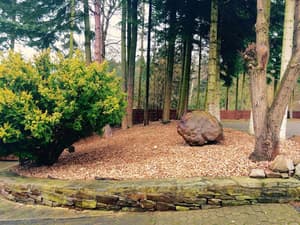 thumbnail: Garden