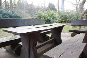 thumbnail: BBQ/picnic area