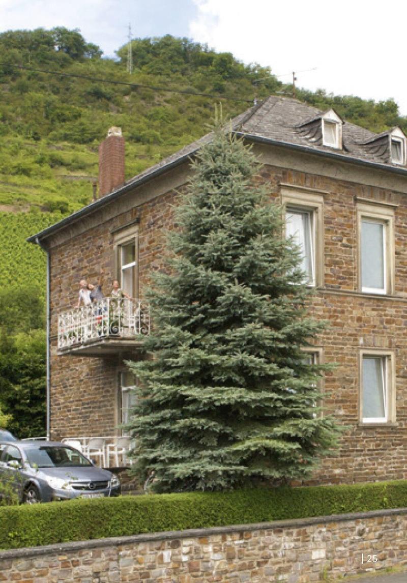 General view