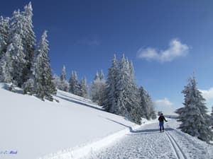 thumbnail: Snow and ski sports