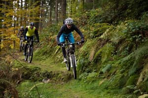 thumbnail: Bicycling