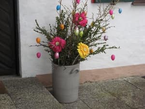 thumbnail: 15553896.jpg