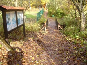 thumbnail: Property grounds