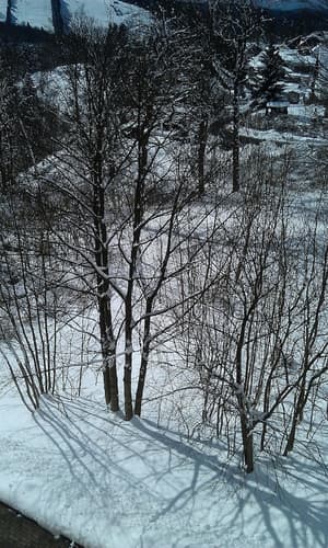 thumbnail: Snow and ski sports