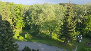 thumbnail: Property grounds
