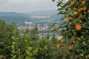 thumbnail: Hiking