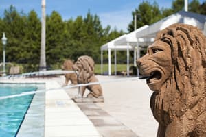 thumbnail: Outdoor pool