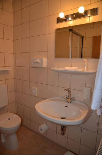 27029456.jpg