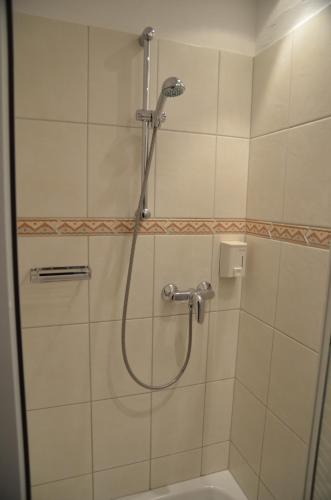 27029789.jpg