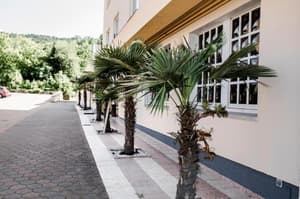 thumbnail: Lobby