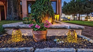 thumbnail: Garden