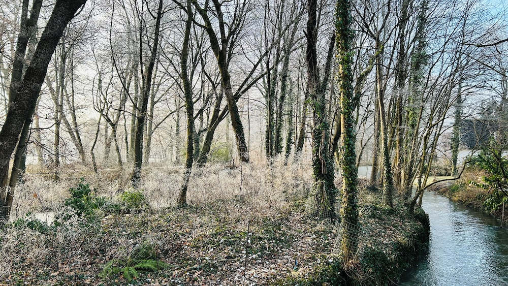Land view from property