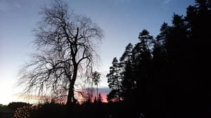 thumbnail: View from property
