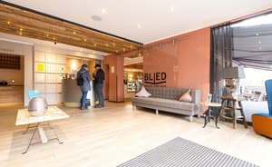 thumbnail: Reception