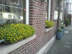 thumbnail: Front of property