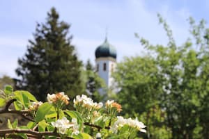 thumbnail: Garden
