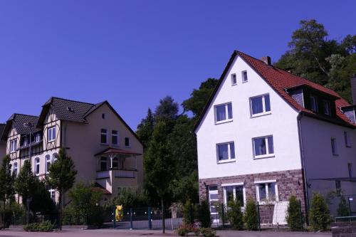 51291190.jpg