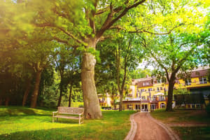 thumbnail: Property grounds