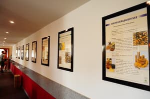 thumbnail: Interior