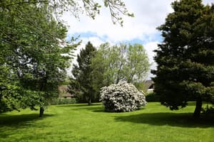 thumbnail: Garden