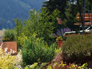 thumbnail: Terrace/patio
