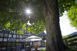 thumbnail: Terrace/patio