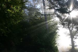 thumbnail: Hiking