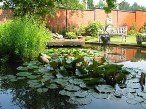 thumbnail: Front of property