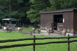 thumbnail: Children's play area - outdoor